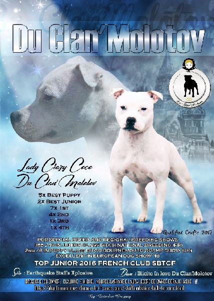 Lady crazy coco du clan ' Molotov