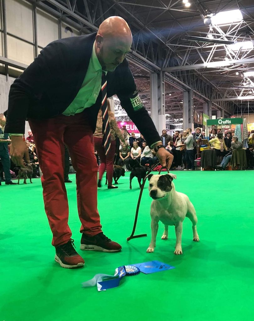 du clan ' Molotov - Izy 2em à CRUFTS