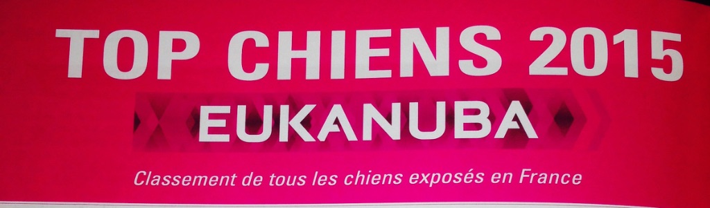du clan ' Molotov - Bilan de l'année 2015 en France pour Django